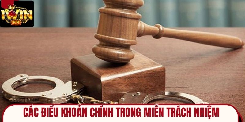 Tổng hợp các điều khoản chính trong miễn trách nhiệm